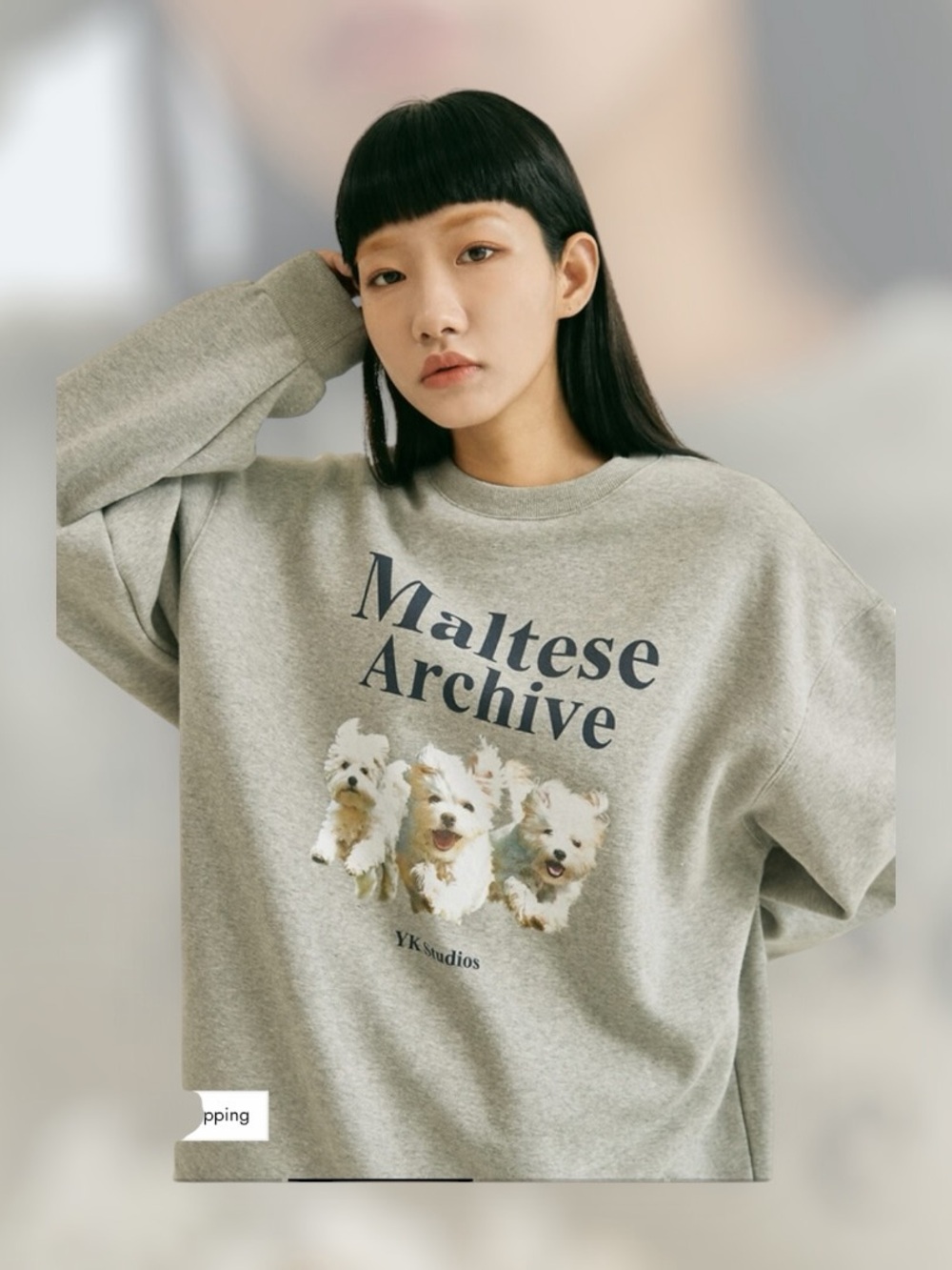 WAIKEI  Maltese Archive Sweatshirt
Grey